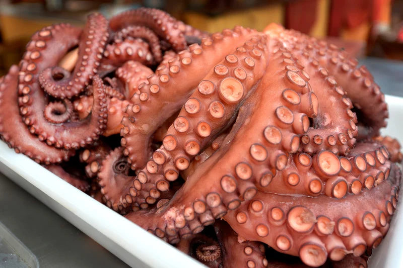 Spanish Octopus Tentacles - Frescamar